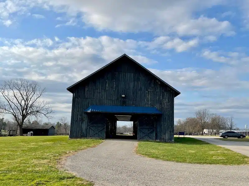 Surrounded By Kentucky Horse Country Surrounded By Kentucky Horse Country